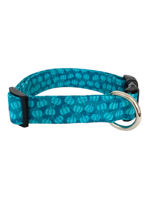 Turquoise Pumpkins Dog Collar