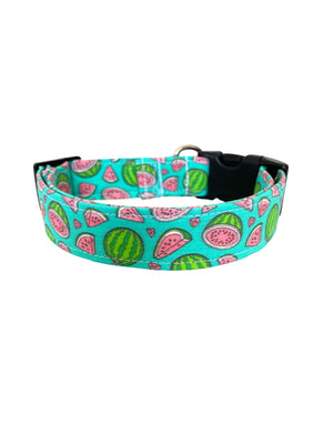 Watermelon in Green Dog Collar