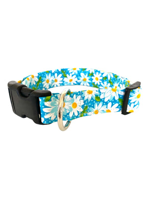 Daisies in Aqua Dog Collar