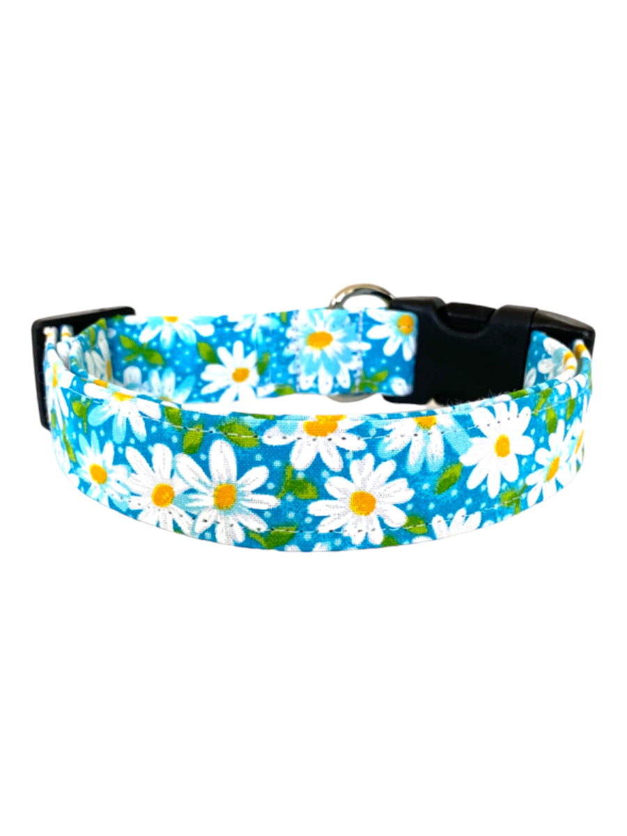 Daisies in Aqua Dog Collar