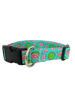 Watermelon in Green Dog Collar