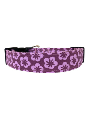 Purple Haze Dog Collar