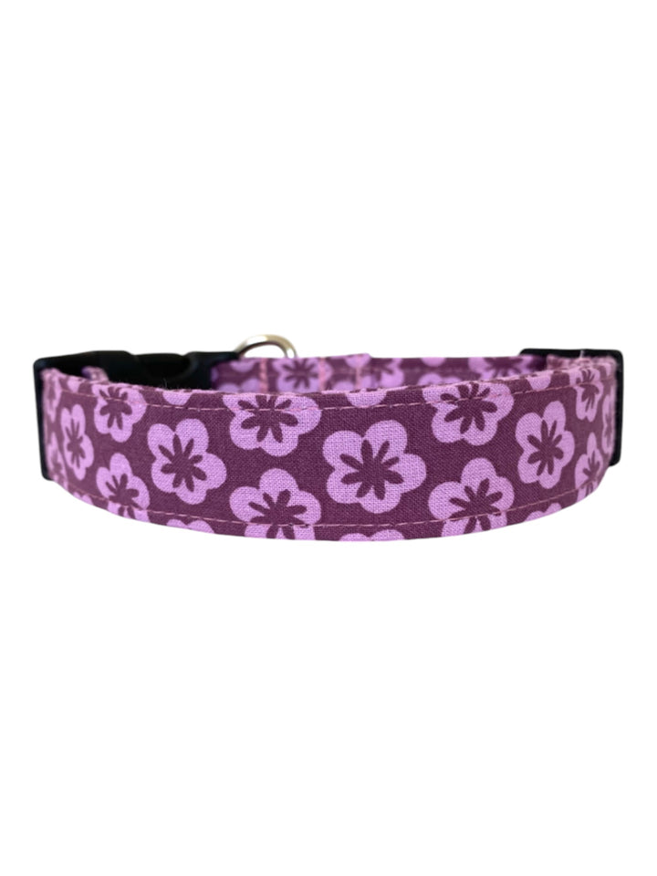 Purple Haze Dog Collar