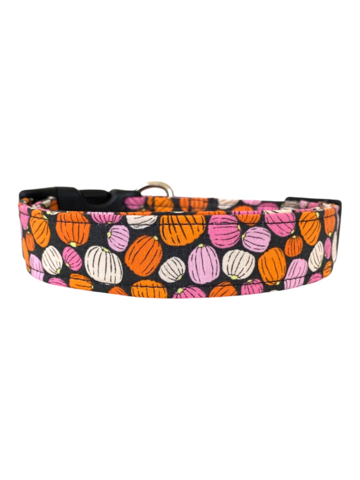 Pumpkin Spice Dog Collar