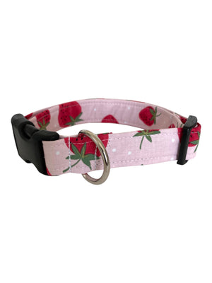 Strawberry Fields Dog Collar
