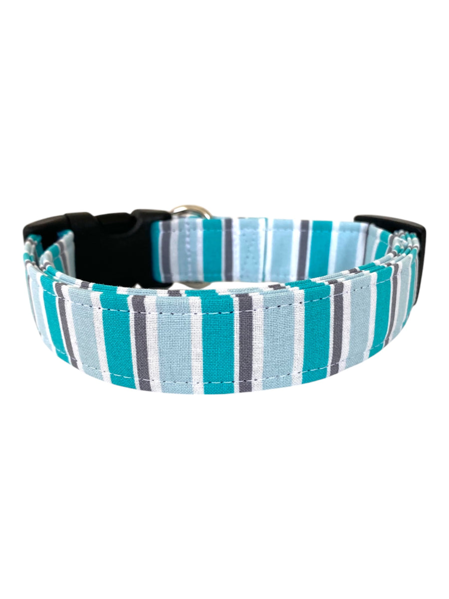 The Aspen Dog Collar