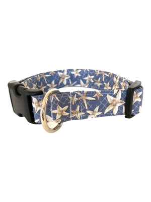 Starfish Dog Collar
