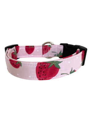 Strawberry Fields Dog Collar