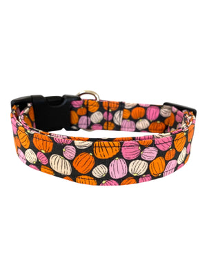 Pumpkin Spice Dog Collar