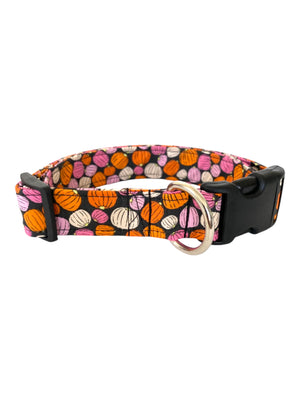 Pumpkin Spice Dog Collar