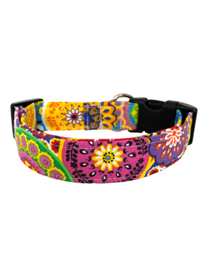 Amara Dog Collar