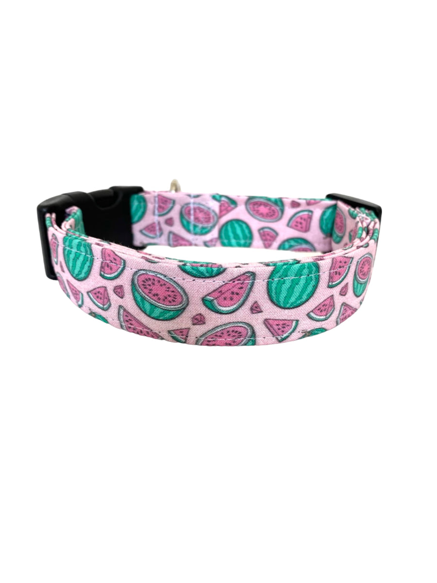 Watermelon in Pink Dog Collar