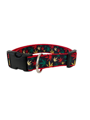Mary Jane in Red Dog Collar