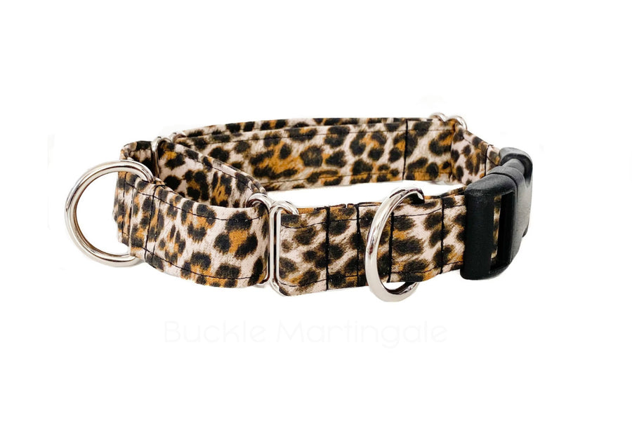 How to Pick a Dog Collar A Guide for Pet Owners