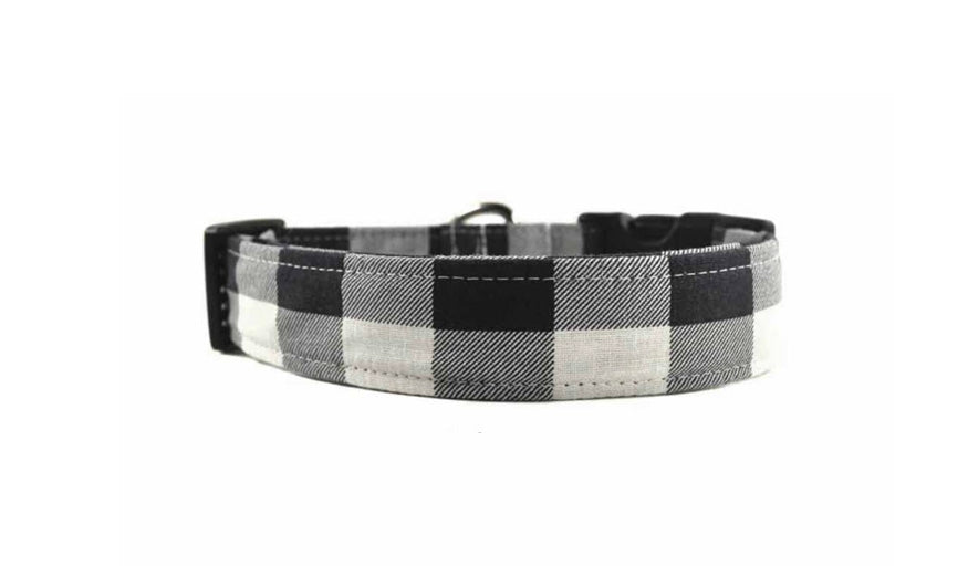 Black and white hotsell buffalo check dog collar