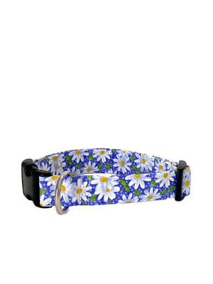 Chloe Dog Collar