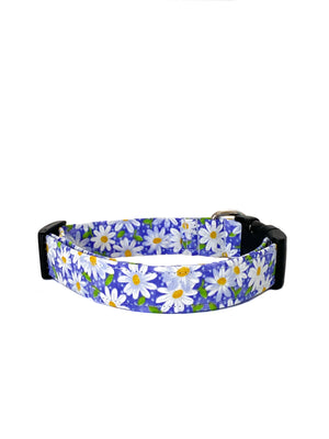 Chloe Dog Collar
