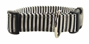 Indy Dog Collar