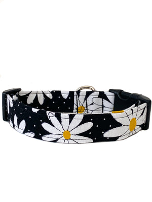 Daisies Dog Collar