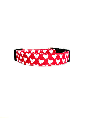 The Flirt Dog Collar