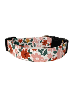Skye Dog Collar