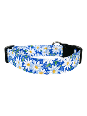 Blue Daisies Dog Collar