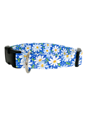 Blue Daisies Dog Collar