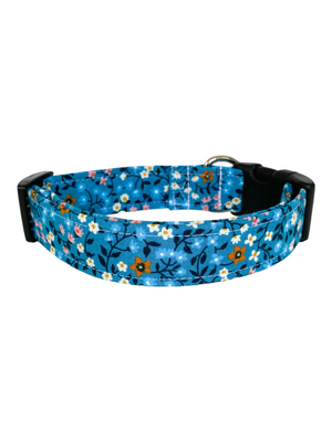 Scarlett Dog Collar