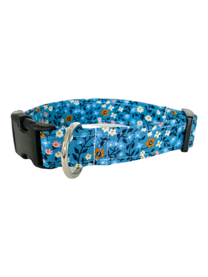 Scarlett Dog Collar