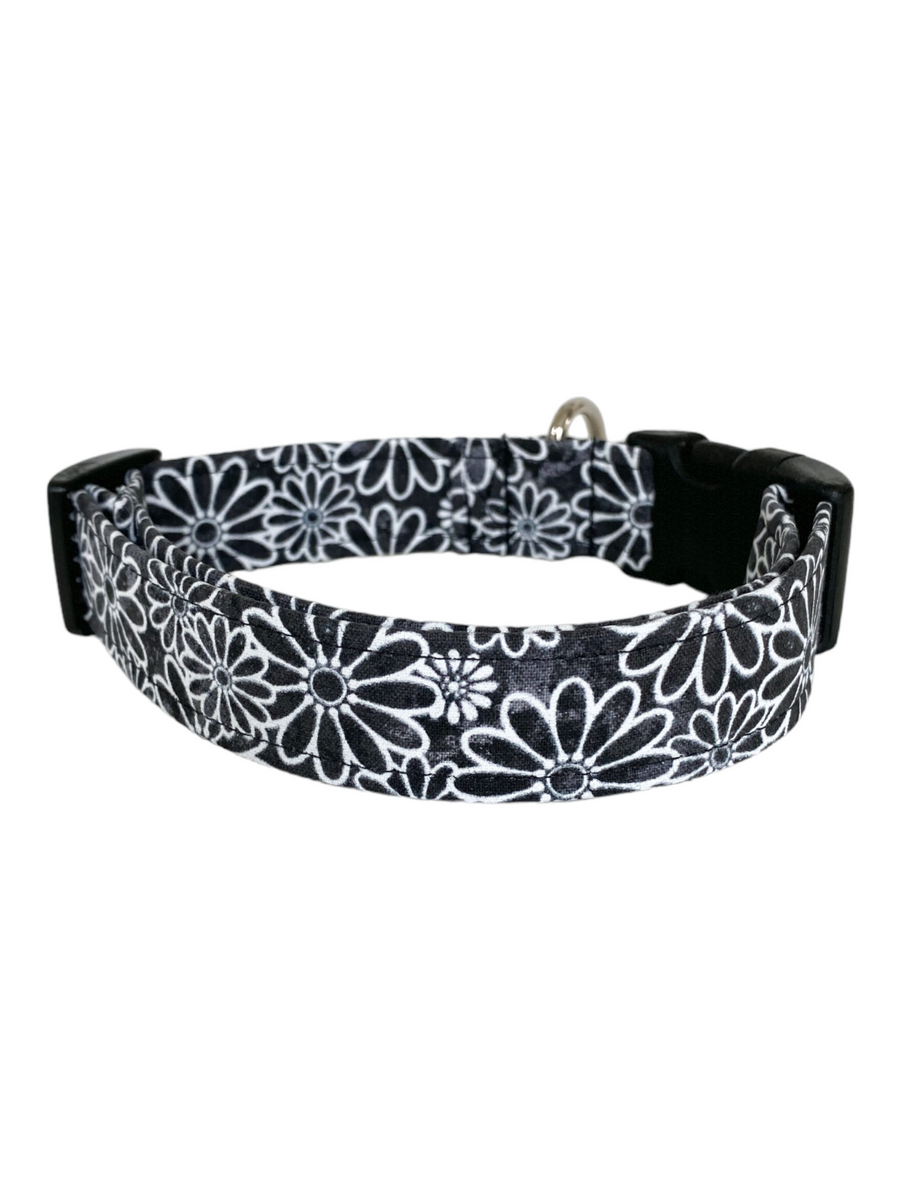 Black and White Daisy Dog Collar