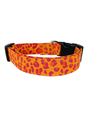 Orange Leopard Dog Collar