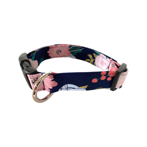 Eva Dog Collar