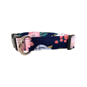 Eva Dog Collar