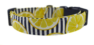 Lemonade Dog Collar - Collars by Design