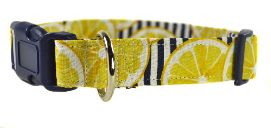 Lemonade Dog Collar - Collars by Design