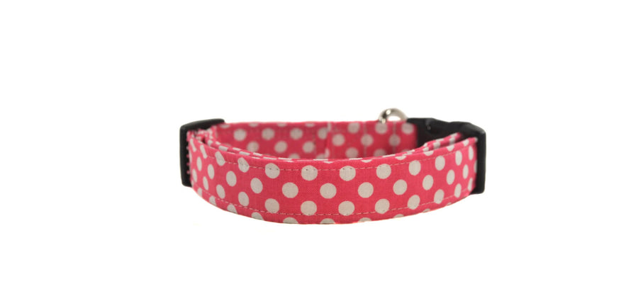 Dots in Hot Pink Dog Collar