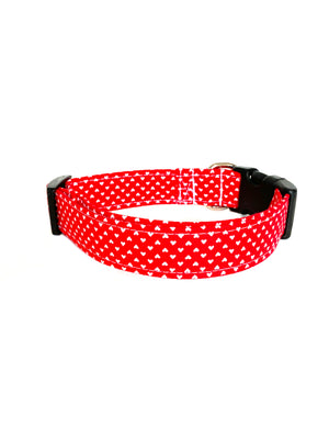 Romeo Dog Collar