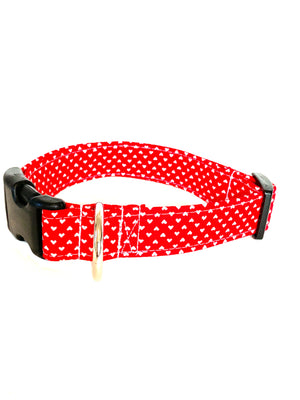 Romeo Dog Collar