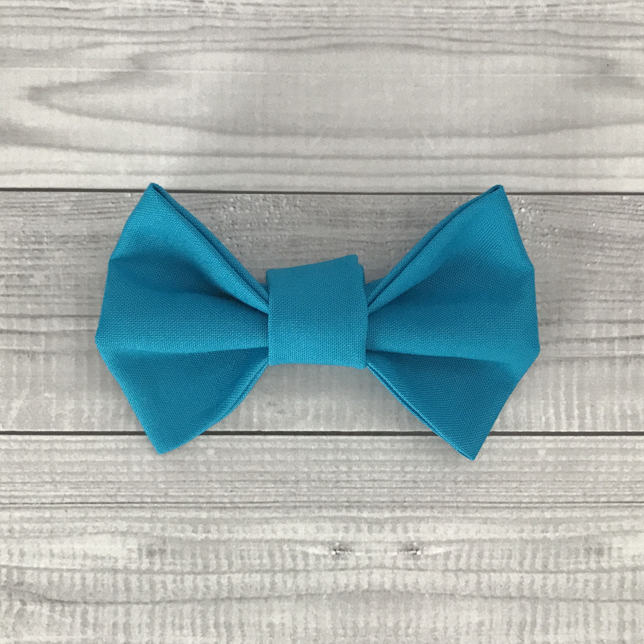 Azure Dog Bow
