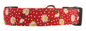 Daisies in Red Dog Collar - Collars by Design