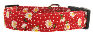 Daisies in Red Dog Collar - Collars by Design