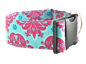 Upgrade to a 2" Width Collar - Collars by Design