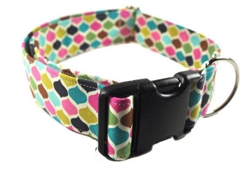 Upgrade to a 1.5" Width Collar - Collars by Design