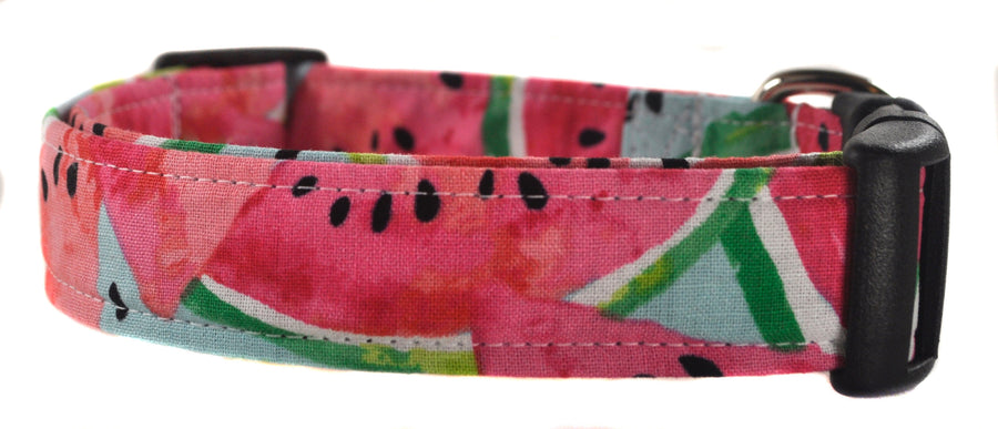 Watermelon Dog Collar - Collars by Design