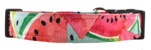Watermelon Dog Collar - Collars by Design