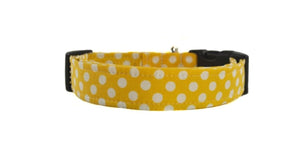 Dots in Yellow Dog Collar